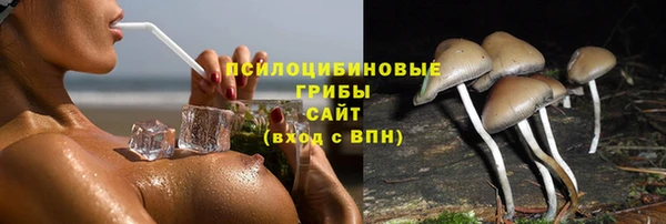 меф Армянск