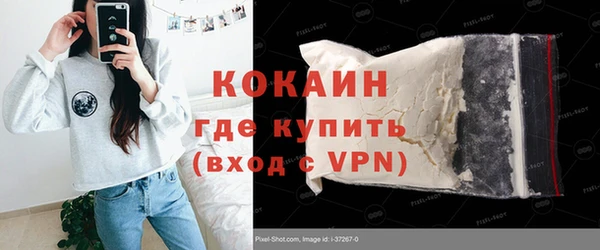 твердый Арсеньев