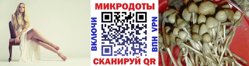 Купить где  Шали  Галлюциногенные грибы Psilocybe 